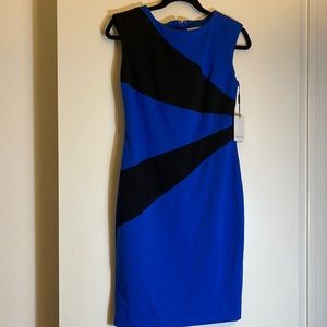 Never worn gorgeous Calvin Klein dress. Hidden zipper up back